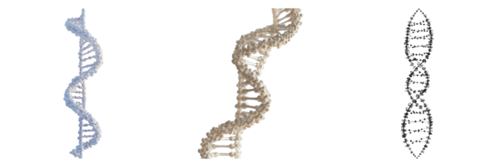 DNA strand isolated on transparent background. PNG , se of