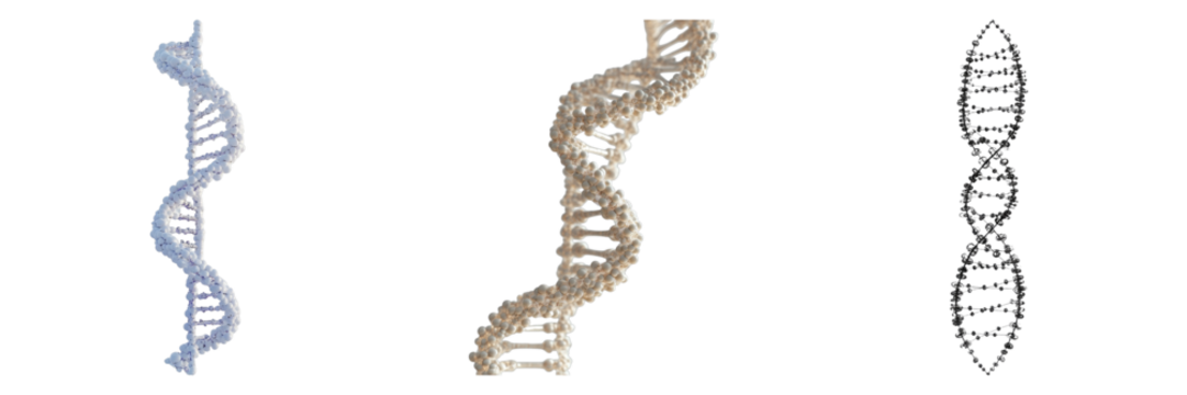DNA strand isolated on transparent background. PNG , se of