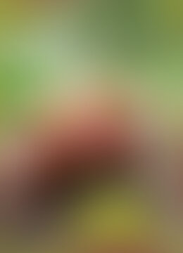 Abstract blurred background with soft green and brown tones, creating a tranquil and organic feel.