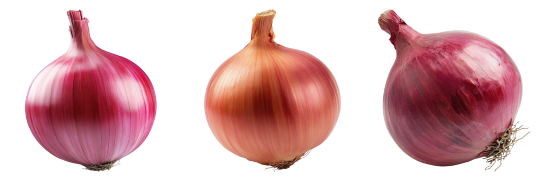 Onion isolated on transparent background. PNG , se of - Powered by Adobe