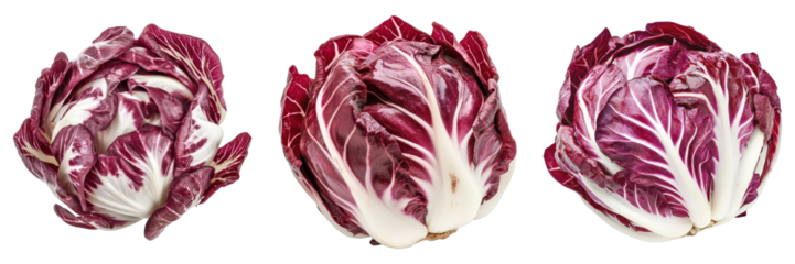 Radicchio elegance isolated on transparent background. PNG , se of