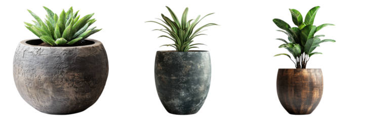 Rustic plant vessel organic isolated on transparent background. PNG , se of