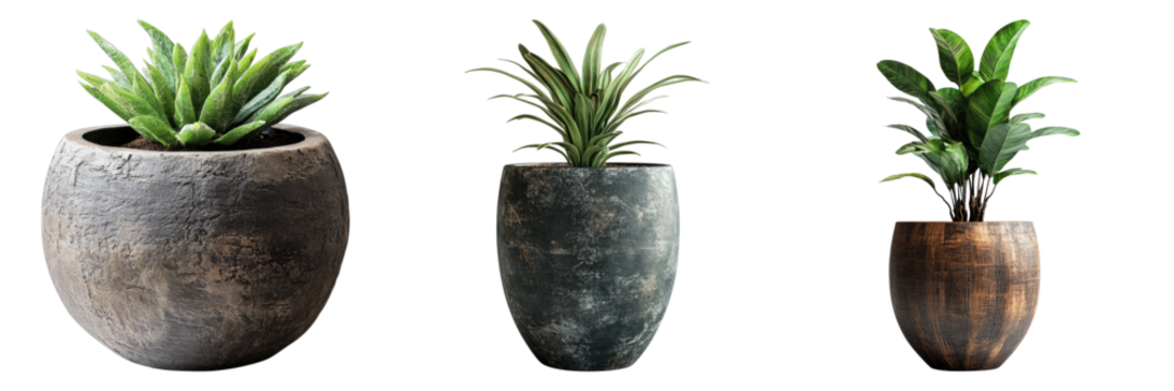 Rustic plant vessel organic isolated on transparent background. PNG , se of