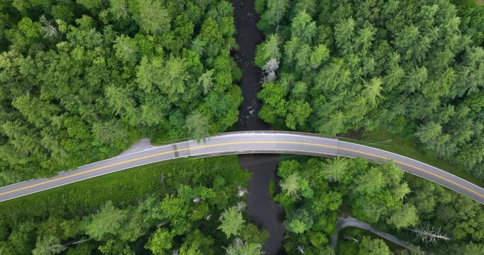 Blue Ridge Parkway road bridge over small river in summer woods of Appalachian mountains with green canopies in forest. Road trip driving in wild nature in summertime season