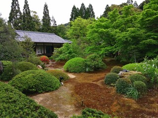 "Rokusonin Shrine" written in Japanese. It is a famous shrine in Kyoto, Japan.
