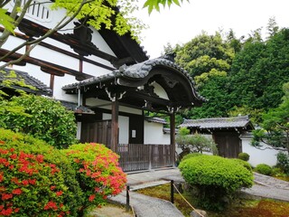 "Rokusonin Shrine" written in Japanese. It is a famous shrine in Kyoto, Japan.