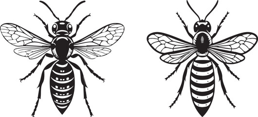 Wasp silhouette vector design with white background.