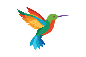 Obraz premium ropical-bird hummingbird