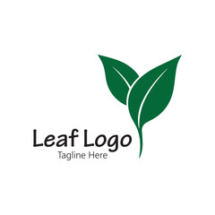 Leaf  logo icon  vector Illustration