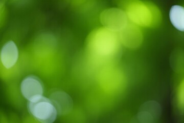 Obraz premium a close up of a green background with bokeh lights