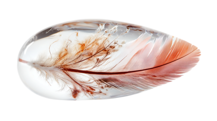 A clear resin paperweight encapsulating a delicate feather, preserving its intricate structure and subtle coloration, symbolizing the fusion of art and nature, displayed on a white background