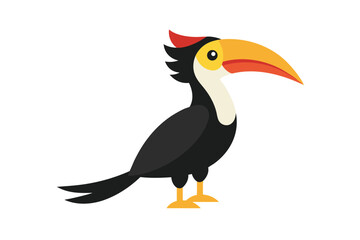 toucan isolated on white