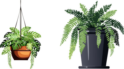 Greenery Duo: Two lush, thriving plants showcase vibrant green foliage. One plant is elegantly suspended in a hanging basket, while the other flourishes in a sleek pot.