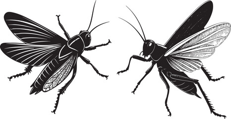 Flying grasshopper silhouette vector design with white background..