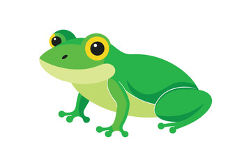 Obraz premium frog on white background