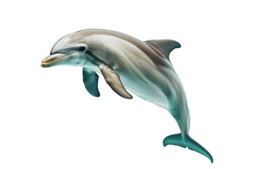 Fototapeta premium Graceful dolphin leaping out of water in a stunning high jump