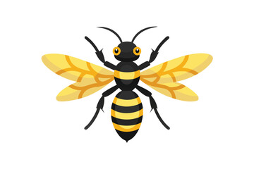 bee isolated on white background