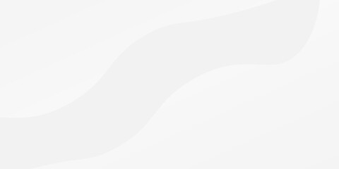 Modern white and gray background with gradient color and artistic dynamic line decoration abstract