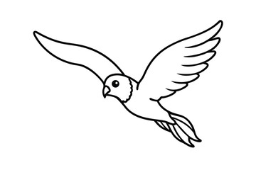 Fototapeta premium Flying Bird Outline Drawing Wings, Feathers, Avian Flight
