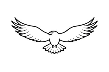 Majestic Hawk Soaring, Wings Outstretched, Bird of Prey Flight