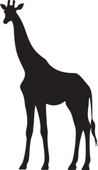 Obraz premium Black flat silhouette vector icon, A tall giraffe standing with its long neck extended
