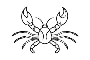 Black and White Crayfish Illustration Aquatic Creature Design