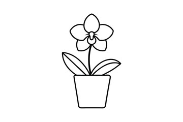 Potted Orchid Flower Plant Simple Line Art Design Illustration