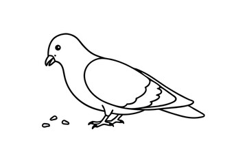 Simple Line Drawing of a Pigeon Eating Seeds