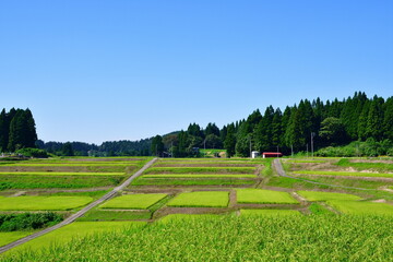 十日町の田園風景（新潟県）