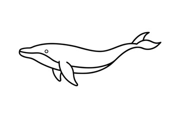 Line Art Humpback Whale Ocean Mammal Aquatic Life Drawing