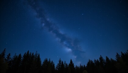 Milky Way Trees with Peaceful Mood at Night.