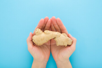 Young adult woman opened palms holding fresh brown ginger root on light blue table background. Pastel color. Closeup. Point of view shot. Top down view.