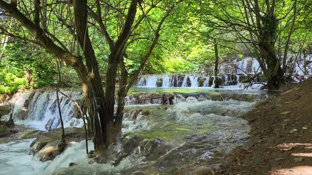 Faszinierende Sinterterrassen der Wei&szlig;en Lauter, ein beeindruckendes Naturwunder in Deutschland. Das klare Wasser flie&szlig;t in kleinen Kaskaden &uuml;ber die abgestuften Terrassen.