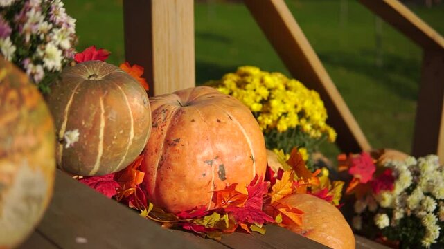 Big orange pumpkin on a wooden stairs with other pumpkins and autumn leafage and flowers as a halloween decoration
