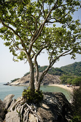 Wild nature and secluded beach in Hua Hin