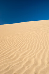 Tottori Sand Dunes – Beautiful Sand Ripples and Blue Sky, Tottori, Japan