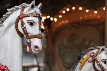 carousel horse on a carousel