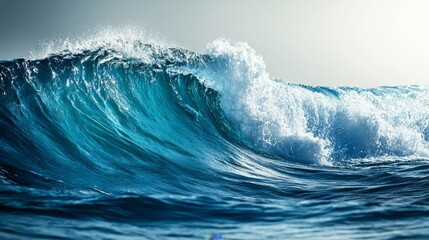 Fototapeta premium Dramatic profile of an ocean wave intense blue water frothing under the warm sun s glow