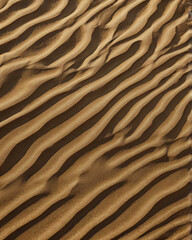 The sand dunes in the desert create beautiful, wavy patterns.