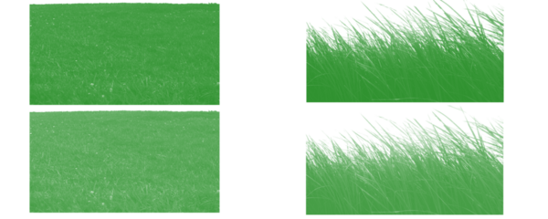 Natural Grass Hills and Lush Green Meadow Border on Transparent Background – Spring Grass Cut-Out PNG with Copy Space