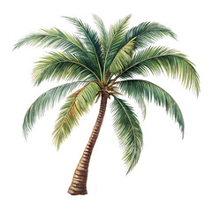 Obraz premium Realistic Palm Tree Digital Artwork Isolated on Black Background