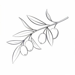 Stylish illustration of an olive branch with olives, minimalistic design, black outline