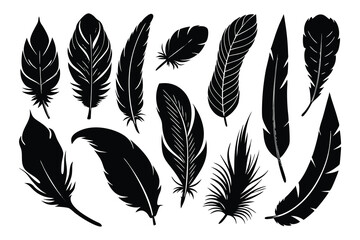 Feather Silhouettes Collection,  set of Black Feather Designs vector illustration. 