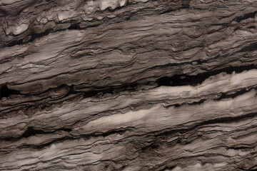 Sequoia Brown Quartzite background, texture in brown tone for interior work.