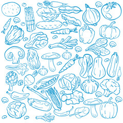 Vegetables and Healthy Food Doodle – Hand-Drawn Organic Icon Set