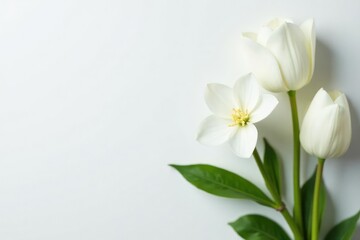 Elegant white flower arrangement on pure white backdrop, wedding, high-quality