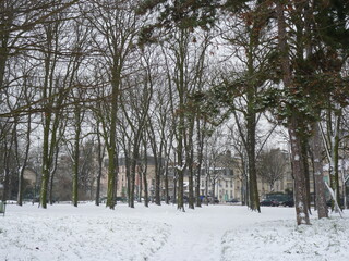 Parc forêt neige hiver