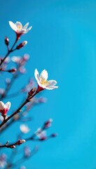 Isolated branches against a bright blue background, blue, nature