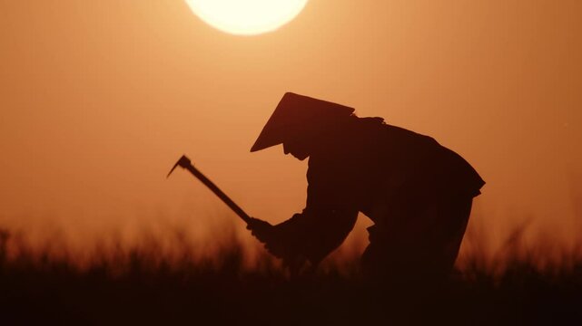 Silhouette of woman farmer in Vietnamese hat cultivating land with hoe in field on background of golden sunset sky with sun.