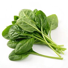Fototapeta premium Fresh spinach in white background